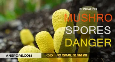 Mushroom Spores: Are They Safe to Inhale?
