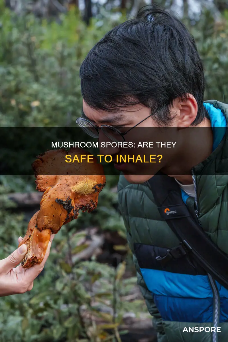 is inhaling mushroom spores dangerous
