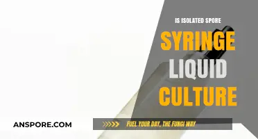 Isolated Spore Syringe vs. Liquid Culture: Which is Better?