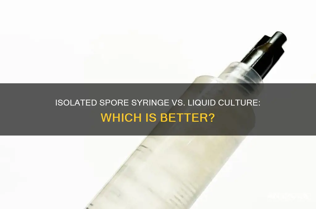 is isolated spore syringe liquid culture