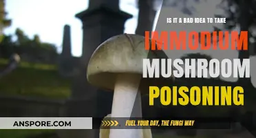 Imodium for Mushroom Poisoning: Risky Remedy or Dangerous Mistake?