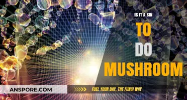 Exploring Morality: Are Psychedelic Mushrooms a Sinful Choice?