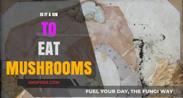 Is Eating Mushrooms a Sin? Exploring Religious and Ethical Perspectives