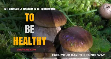 Mushrooms and Health: Are They Essential for a Balanced Diet?