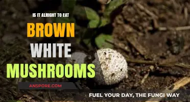 Are Brown and White Mushrooms Safe to Eat? A Guide