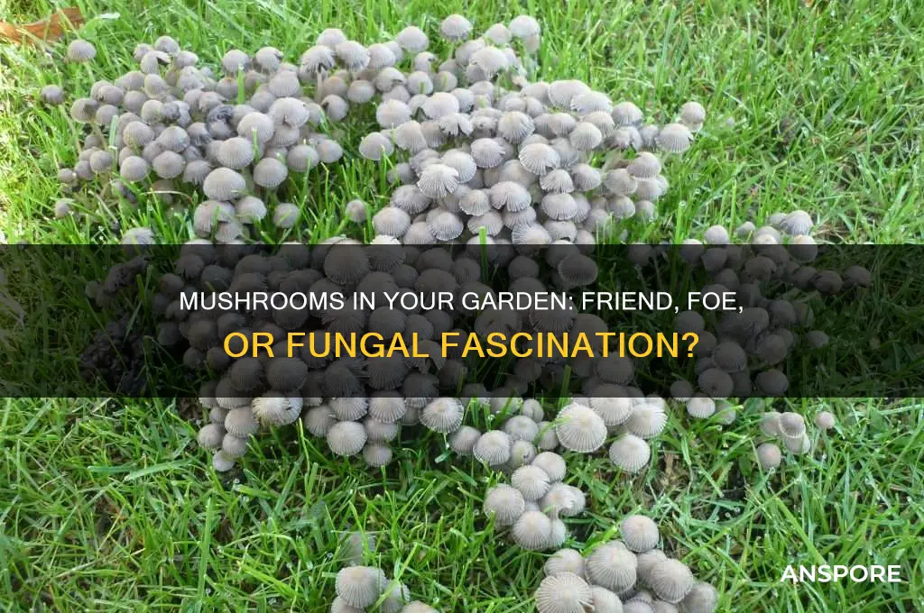 is it bad for mushrooms to grow in your garden