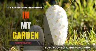 Mushrooms in Your Garden: A Blessing, Curse, or Cause for Concern?