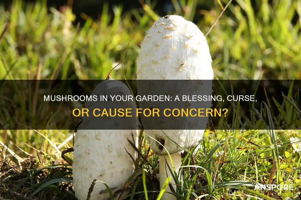 is it bad that there are mushrooms in my garden