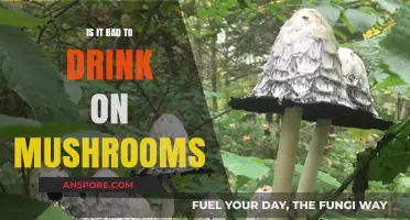 Drinking on Mushrooms: Risks, Effects, and What You Need to Know