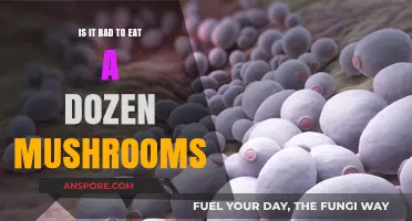 Are You Overeating Mushrooms? Risks of Consuming a Dozen