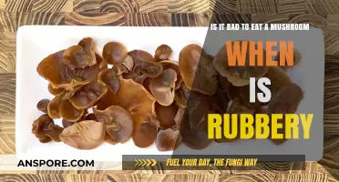 Rubbery Mushrooms: Are They Safe to Eat or Should You Avoid?
