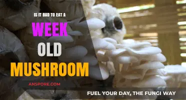 Week-Old Mushrooms: Safe to Eat or Toss Out?