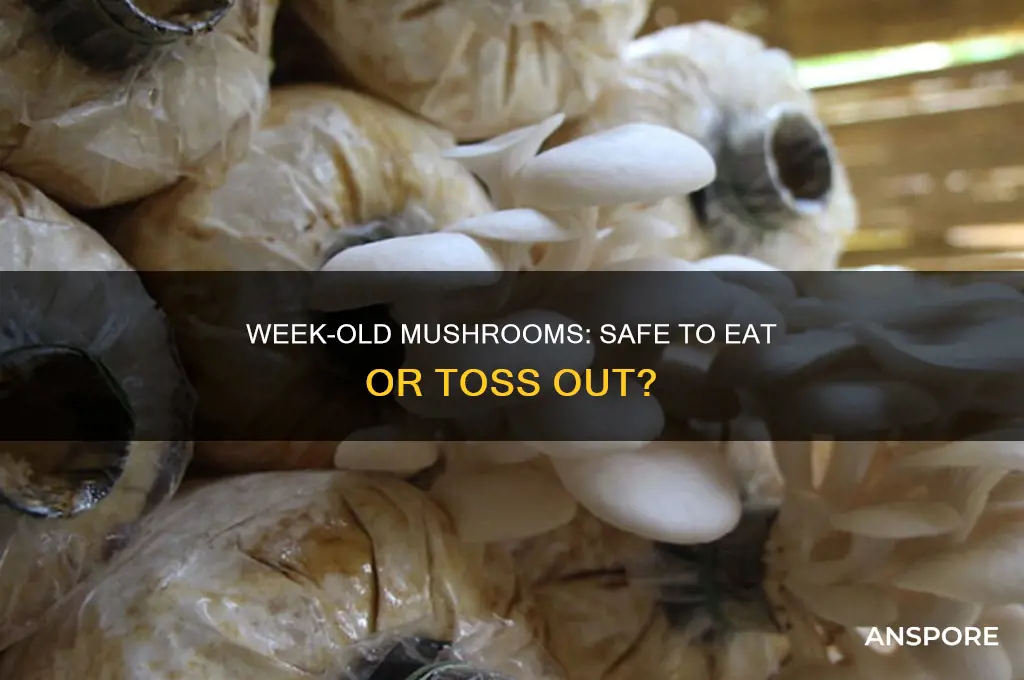 is it bad to eat a week old mushroom