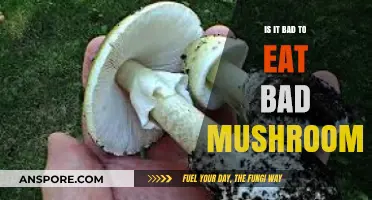 Eating Bad Mushrooms: Risks, Symptoms, and When to Seek Help