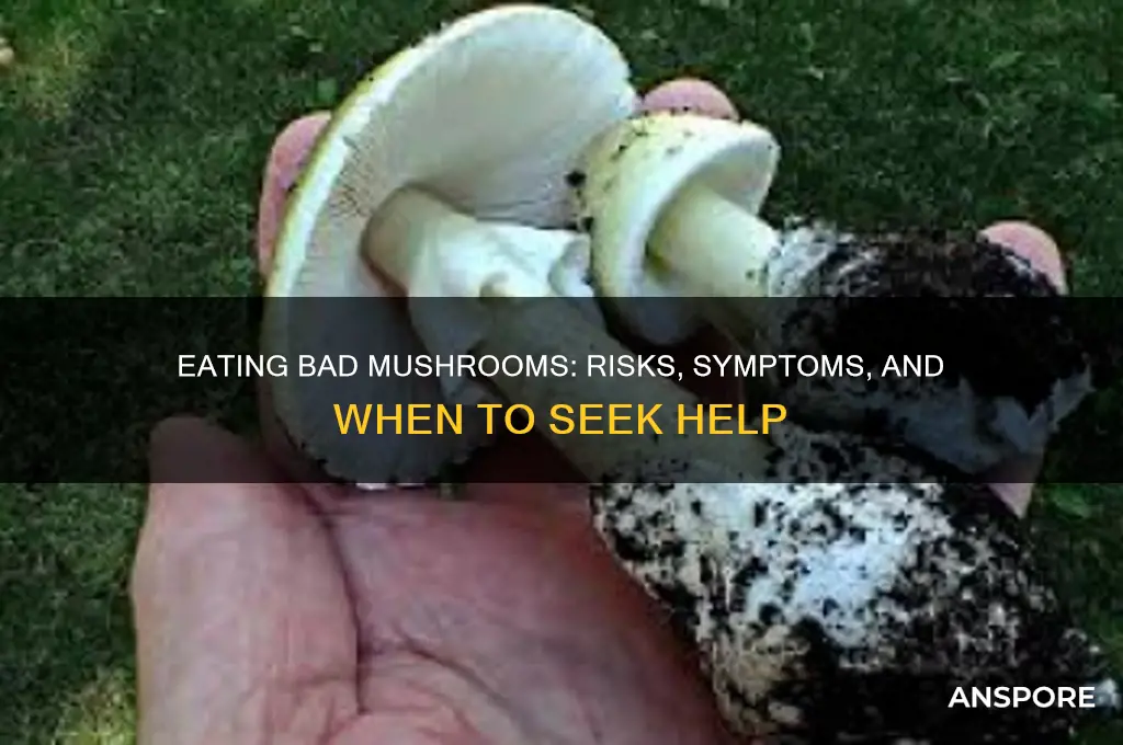 is it bad to eat bad mushrooms
