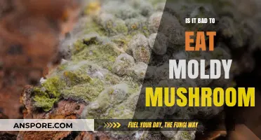 Moldy Mushrooms: Are They Safe to Eat or a Health Risk?
