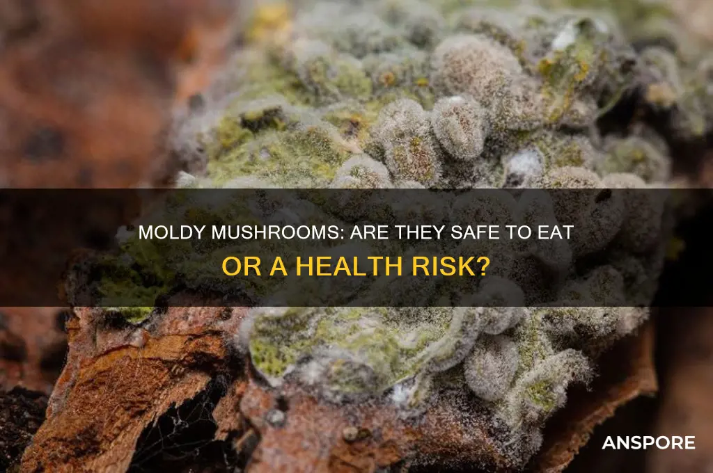 is it bad to eat moldy mushrooms