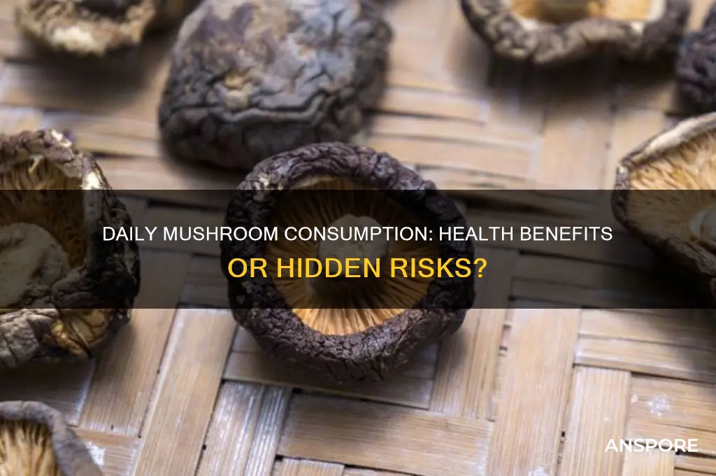 is it bad to eat mushroom everyday