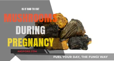 Mushrooms and Pregnancy: Safe or Risky for Expecting Moms?