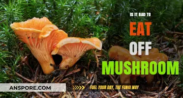 Eating Wild Mushrooms: Safe or Risky? A Guide to Foraging