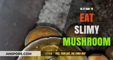 Are Slimy Mushrooms Safe to Eat? Risks and Facts Explained