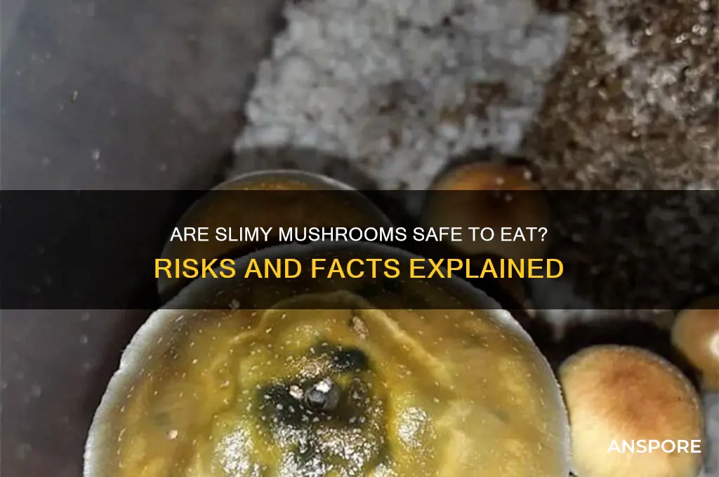 is it bad to eat slimy mushrooms
