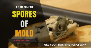 Eating Mold Spores: Risks, Health Concerns, and Safety Tips