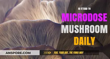 Daily Mushroom Microdosing: Benefits, Risks, and Long-Term Effects Explored