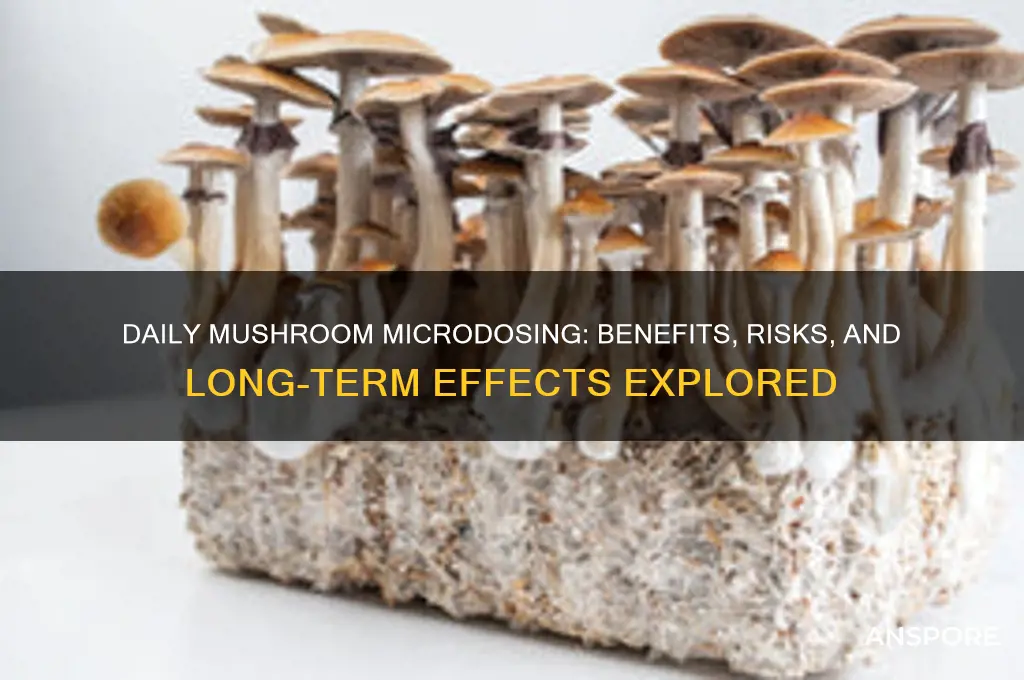 is it bad to microdose mushrooms daily