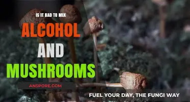 Mixing Alcohol and Mushrooms: Risks, Effects, and Safety Concerns