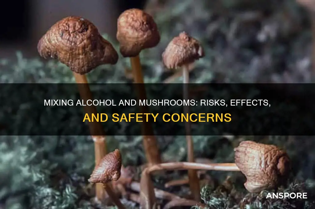 is it bad to mix alcohol and mushrooms