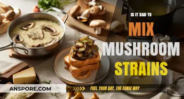 Mixing Mushroom Strains: Risks, Benefits, and What You Need to Know