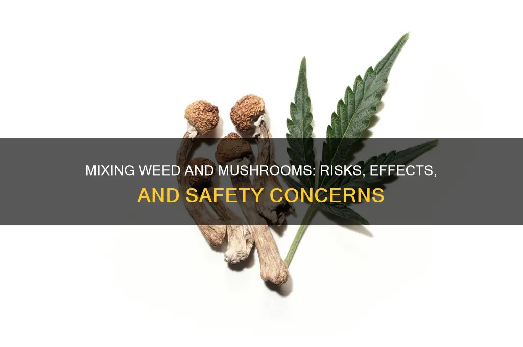 is it bad to mix weed and mushrooms