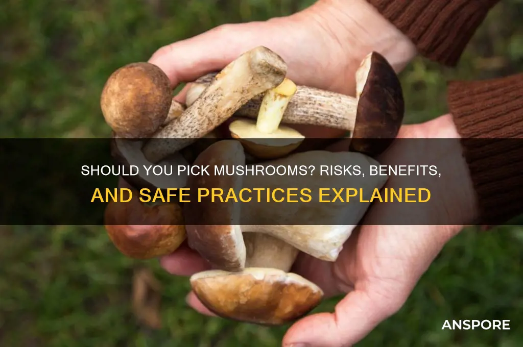 is it bad to pick mushrooms