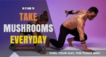 Daily Mushroom Use: Risks, Benefits, and Long-Term Effects Explained