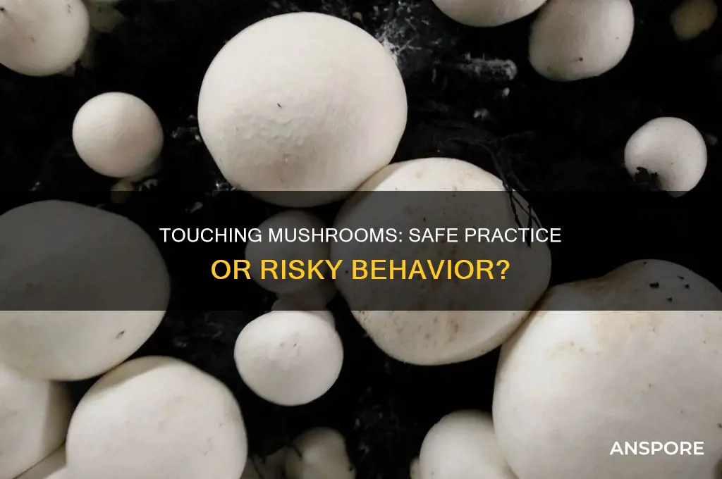 is it bad to touch mushrooms