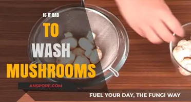 Should You Wash Mushrooms? Debunking Myths and Best Practices