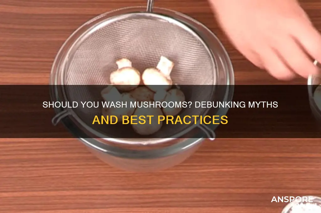 is it bad to wash mushrooms