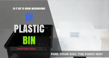 Growing Mushrooms in Plastic Bins: Safe or Risky Practice?