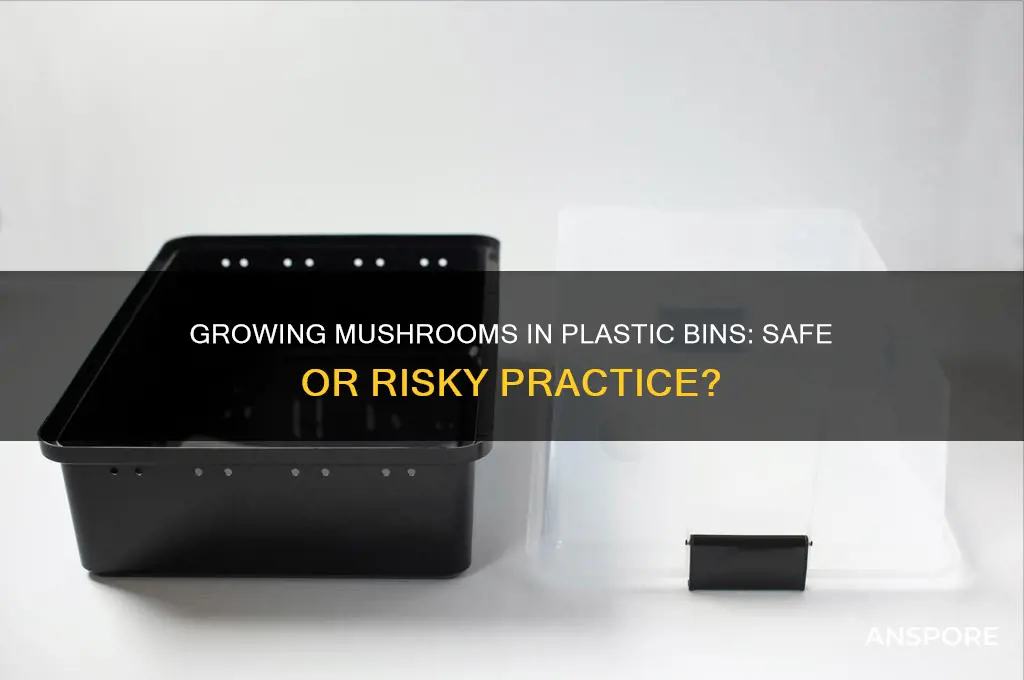 is it bd to grow mushrooms in plastic bin