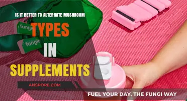 Alternating Mushroom Types in Supplements: Benefits, Risks, and Optimal Strategies