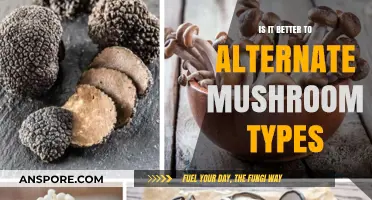 Alternating Mushroom Types: Benefits, Risks, and Optimal Culinary Strategies