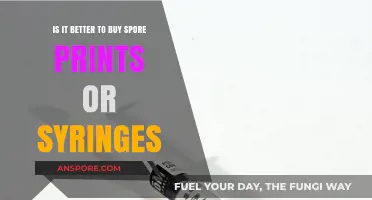 Spore Prints vs. Syringes: Which is Best for Mushroom Cultivation?