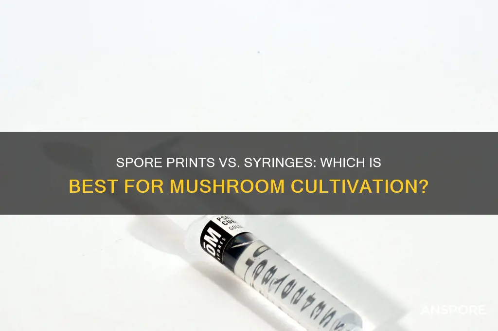 is it better to buy spore prints or syringes