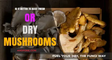 Fresh vs. Dry Mushrooms: Which Offers Superior Nutrition and Flavor?