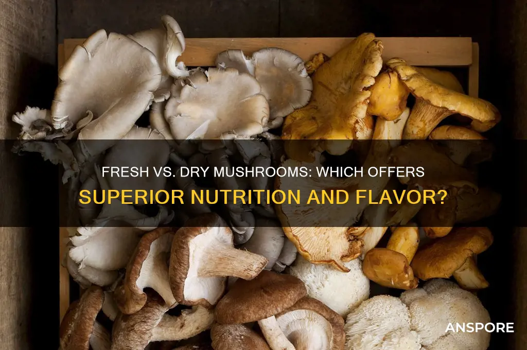 is it better to igest fresh or dry mushrooms