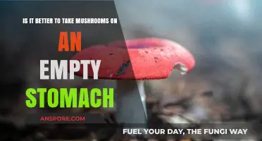 Empty Stomach Mushroom Trips: Benefits, Risks, and Optimal Timing