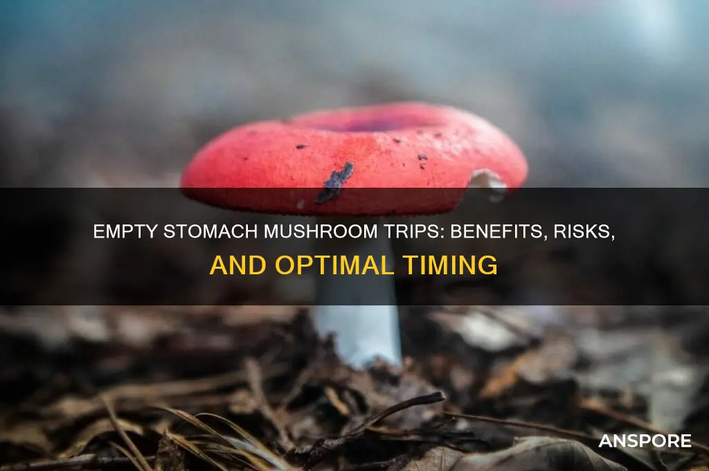 is it better to take mushrooms on an empty stomach