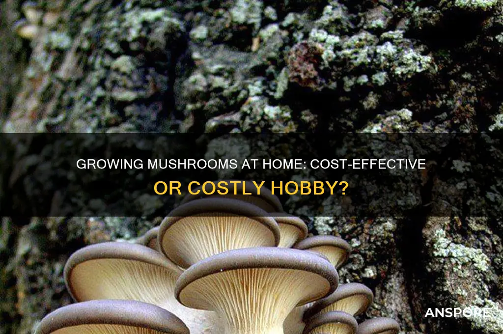 is it cheaper to grow your own mushrooms