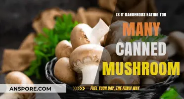 Are Canned Mushrooms Safe? Risks of Overconsumption Explained